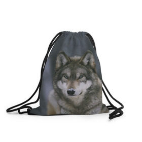 Рюкзак-мешок 3D с принтом Волк в лесу в Тюмени, 100% полиэстер | плотность ткани — 200 г/м2, размер — 35 х 45 см; лямки — толстые шнурки, застежка на шнуровке, без карманов и подкладки | 