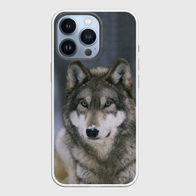 Чехол для iPhone 13 Pro с принтом Волк в Тюмени,  |  | 