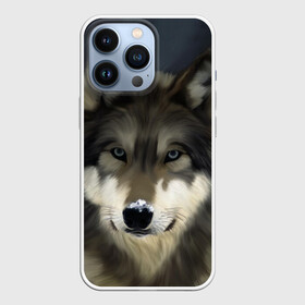 Чехол для iPhone 13 Pro с принтом Картина волк в Тюмени,  |  | волк | животные | собака