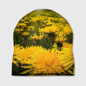 Шапка 3D с принтом Цветочная поляна в Тюмени, 100% полиэстер | универсальный размер, печать по всей поверхности изделия | лес | поляна | прикольные картинки | цветочки | цветы