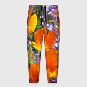 Мужские брюки 3D с принтом Оранжевые цветы в Тюмени, 100% полиэстер | манжеты по низу, эластичный пояс регулируется шнурком, по бокам два кармана без застежек, внутренняя часть кармана из мелкой сетки | лепестки | прикольные картинки | цветочки | цветы