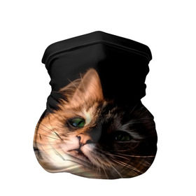 Бандана-труба 3D с принтом Зеленоглазый котёнок в Тюмени, 100% полиэстер, ткань с особыми свойствами — Activecool | плотность 150‒180 г/м2; хорошо тянется, но сохраняет форму | кот | кошка | прикольные картинки