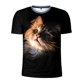 Мужская футболка 3D спортивная с принтом Зеленоглазый котёнок в Тюмени, 100% полиэстер с улучшенными характеристиками | приталенный силуэт, круглая горловина, широкие плечи, сужается к линии бедра | кот | кошка | прикольные картинки