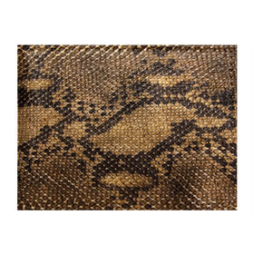 Обложка для студенческого билета с принтом Змеиная кожа в Тюмени, натуральная кожа | Размер: 11*8 см; Печать на всей внешней стороне | Тематика изображения на принте: животные | змея | кожа | орнамент | узор