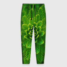Мужские брюки 3D с принтом зеленый цветок в Тюмени, 100% полиэстер | манжеты по низу, эластичный пояс регулируется шнурком, по бокам два кармана без застежек, внутренняя часть кармана из мелкой сетки | зелень | красота | лето | листья | солнце | цветок