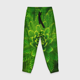 Детские брюки 3D с принтом зеленый цветок в Тюмени, 100% полиэстер | манжеты по низу, эластичный пояс регулируется шнурком, по бокам два кармана без застежек, внутренняя часть кармана из мелкой сетки | зелень | красота | лето | листья | солнце | цветок