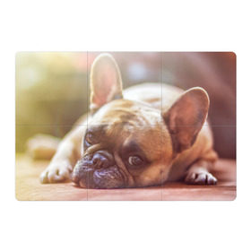Магнитный плакат 3Х2 с принтом французский бульдог в Тюмени, Полимерный материал с магнитным слоем | 6 деталей размером 9*9 см | Тематика изображения на принте: dog | бульдог | друг | собака | язык