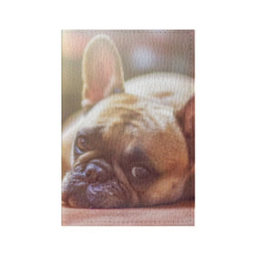 Обложка для паспорта матовая кожа с принтом французский бульдог в Тюмени, натуральная матовая кожа | размер 19,3 х 13,7 см; прозрачные пластиковые крепления | Тематика изображения на принте: dog | бульдог | друг | собака | язык