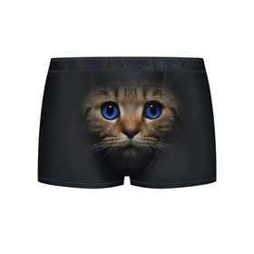 Мужские трусы 3D с принтом Кот с синими глазами в Тюмени, 50% хлопок, 50% полиэстер | классическая посадка, на поясе мягкая тканевая резинка | кот | котенок | кошка | мордочка
