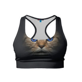 Женский спортивный топ 3D с принтом Кот с синими глазами в Тюмени, 82% полиэстер, 18% спандекс Ткань безопасна для здоровья, позволяет коже дышать, не мнется и не растягивается |  | кот | котенок | кошка | мордочка
