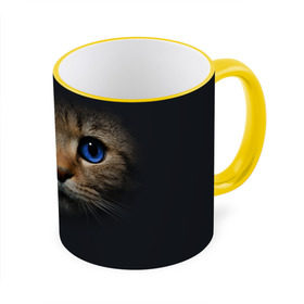 Кружка 3D с принтом Кот с синими глазами в Тюмени, керамика | ёмкость 330 мл | кот | котенок | кошка | мордочка