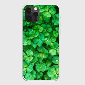 Чехол для iPhone 12 Pro Max с принтом клевер в Тюмени, Силикон |  | Тематика изображения на принте: зелень | ирландия | клевер | лето | листья | солнце | цветы
