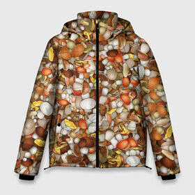 Мужская зимняя куртка 3D с принтом Грибы Много грибов в Тюмени, верх — 100% полиэстер; подкладка — 100% полиэстер; утеплитель — 100% полиэстер | длина ниже бедра, свободный силуэт Оверсайз. Есть воротник-стойка, отстегивающийся капюшон и ветрозащитная планка. 

Боковые карманы с листочкой на кнопках и внутренний карман на молнии. | лес | охота