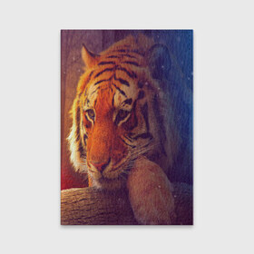 Обложка для паспорта матовая кожа с принтом Тигр в Тюмени, натуральная матовая кожа | размер 19,3 х 13,7 см; прозрачные пластиковые крепления | лев | тигр