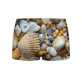 Мужские трусы 3D с принтом Морские ракушки и камни в Тюмени, 50% хлопок, 50% полиэстер | классическая посадка, на поясе мягкая тканевая резинка | камни | море | морские камни | ракушки