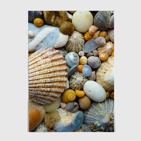 Постер с принтом Морские ракушки и камни в Тюмени, 100% бумага
 | бумага, плотность 150 мг. Матовая, но за счет высокого коэффициента гладкости имеет небольшой блеск и дает на свету блики, но в отличии от глянцевой бумаги не покрыта лаком | камни | море | морские камни | ракушки