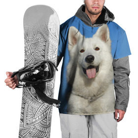 Накидка на куртку 3D с принтом белый пес в Тюмени, 100% полиэстер |  | Тематика изображения на принте: dog | friend | взгляд | волк | друг | пес | собака | хаски
