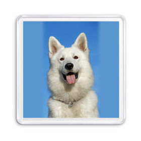 Магнит 55*55 с принтом белый пес в Тюмени, Пластик | Размер: 65*65 мм; Размер печати: 55*55 мм | dog | friend | взгляд | волк | друг | пес | собака | хаски