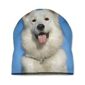 Шапка 3D с принтом белый пес в Тюмени, 100% полиэстер | универсальный размер, печать по всей поверхности изделия | dog | friend | взгляд | волк | друг | пес | собака | хаски