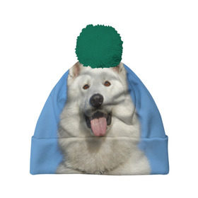 Шапка 3D c помпоном с принтом белый пес в Тюмени, 100% полиэстер | универсальный размер, печать по всей поверхности изделия | dog | friend | взгляд | волк | друг | пес | собака | хаски