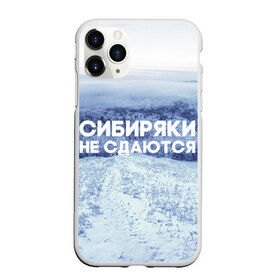Чехол для iPhone 11 Pro матовый с принтом Сибирь в Тюмени, Силикон |  | сибирь