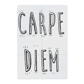 Магнитный плакат 2Х3 с принтом Carpe Diem в Тюмени, Полимерный материал с магнитным слоем | 6 деталей размером 9*9 см | carpe diem | действуй | живи настоящим | живи одним днем | карпэ диэм | лови день | лови момент | рискуй