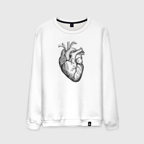 Мужской свитшот хлопок с принтом Heart в Тюмени, 100% хлопок |  | вектор | карандаш | кардиология | кровь | мышца | орган | пульс | рисунок | сердце | черный