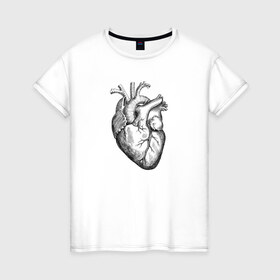 Женская футболка хлопок с принтом Heart в Тюмени, 100% хлопок | прямой крой, круглый вырез горловины, длина до линии бедер, слегка спущенное плечо | вектор | карандаш | кардиология | кровь | мышца | орган | пульс | рисунок | сердце | черный