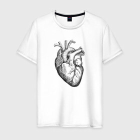 Мужская футболка хлопок с принтом Heart в Тюмени, 100% хлопок | прямой крой, круглый вырез горловины, длина до линии бедер, слегка спущенное плечо. | вектор | карандаш | кардиология | кровь | мышца | орган | пульс | рисунок | сердце | черный