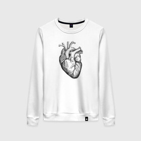 Женский свитшот хлопок с принтом Heart в Тюмени, 100% хлопок | прямой крой, круглый вырез, на манжетах и по низу широкая трикотажная резинка  | вектор | карандаш | кардиология | кровь | мышца | орган | пульс | рисунок | сердце | черный
