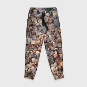 Детские брюки 3D с принтом Ракушки в Тюмени, 100% полиэстер | манжеты по низу, эластичный пояс регулируется шнурком, по бокам два кармана без застежек, внутренняя часть кармана из мелкой сетки | море | ракушки
