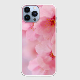 Чехол для iPhone 13 Pro Max с принтом Сакура в Тюмени,  |  | Тематика изображения на принте: весна | вишня | розовый | цветение | цветы | япония
