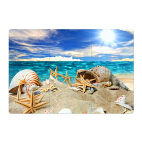 Магнитный плакат 3Х2 с принтом Морской пляж 4 в Тюмени, Полимерный материал с магнитным слоем | 6 деталей размером 9*9 см | море | отдых | отпуск | пляж | ракушки | туризм