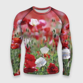 Мужской рашгард 3D с принтом Маки в Тюмени,  |  | field | flowers | meadow | poppies | red | white | белые | красные | луг | маки | поле | полевые | цветы