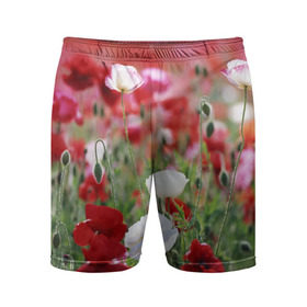 Мужские шорты 3D спортивные с принтом Маки в Тюмени,  |  | field | flowers | meadow | poppies | red | white | белые | красные | луг | маки | поле | полевые | цветы