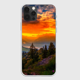 Чехол для iPhone 12 Pro Max с принтом Пейзаж в Тюмени, Силикон |  | горы | закат | лес | новая | природа