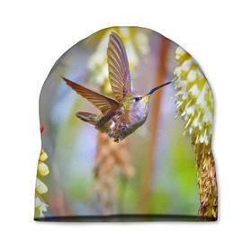 Шапка 3D с принтом Колибри в Тюмени, 100% полиэстер | универсальный размер, печать по всей поверхности изделия | лепесток | новая | природа | птичка | цветок | яркая