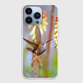 Чехол для iPhone 13 Pro с принтом Колибри в Тюмени,  |  | Тематика изображения на принте: лепесток | новая | природа | птичка | цветок | яркая
