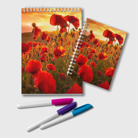 Блокнот с принтом Маки в Тюмени, 100% бумага | 48 листов, плотность листов — 60 г/м2, плотность картонной обложки — 250 г/м2. Листы скреплены удобной пружинной спиралью. Цвет линий — светло-серый
 | Тематика изображения на принте: field | flowers | meadow | nature | poppies | red | sky | summer | sun | sunset | wild | закат | красные | лето | луг | маки | небо | поле | полевые | природа | солнце | цветы