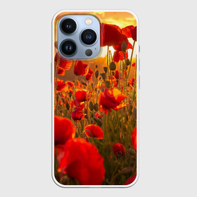Чехол для iPhone 13 Pro с принтом Маки в Тюмени,  |  | field | flowers | meadow | nature | poppies | red | sky | summer | sun | sunset | wild | закат | красные | лето | луг | маки | небо | поле | полевые | природа | солнце | цветы