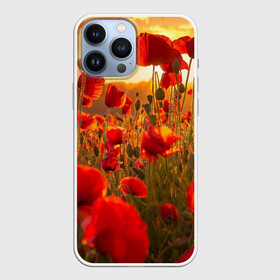 Чехол для iPhone 13 Pro Max с принтом Маки в Тюмени,  |  | field | flowers | meadow | nature | poppies | red | sky | summer | sun | sunset | wild | закат | красные | лето | луг | маки | небо | поле | полевые | природа | солнце | цветы