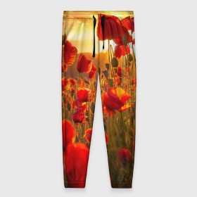 Женские брюки 3D с принтом Маки в Тюмени, полиэстер 100% | прямой крой, два кармана без застежек по бокам, с мягкой трикотажной резинкой на поясе и по низу штанин. В поясе для дополнительного комфорта — широкие завязки | field | flowers | meadow | nature | poppies | red | sky | summer | sun | sunset | wild | закат | красные | лето | луг | маки | небо | поле | полевые | природа | солнце | цветы