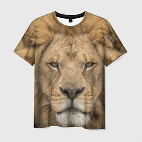 Мужская футболка 3D с принтом Лев в Тюмени, 100% полиэфир | прямой крой, круглый вырез горловины, длина до линии бедер | грива | джунгли | животные | зверь | король | кровь | лев | охотник | хищник | царь