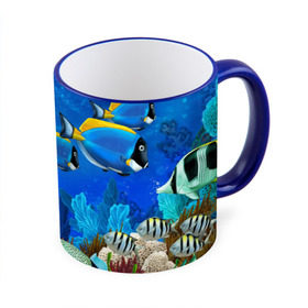 Кружка 3D с принтом Экзотические рыбки в Тюмени, керамика | ёмкость 330 мл | животые | красочные | морские | рыбки | цветные | экзотические