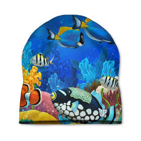 Шапка 3D с принтом Экзотические рыбки в Тюмени, 100% полиэстер | универсальный размер, печать по всей поверхности изделия | Тематика изображения на принте: животые | красочные | морские | рыбки | цветные | экзотические