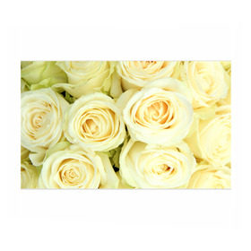 Бумага для упаковки 3D с принтом Белые розы в Тюмени, пластик и полированная сталь | круглая форма, металлическое крепление в виде кольца | лепестки | розы | цветы
