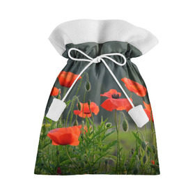 Подарочный 3D мешок с принтом Маки 6 в Тюмени, 100% полиэстер | Размер: 29*39 см | Тематика изображения на принте: маки | футболка с маками | цветы