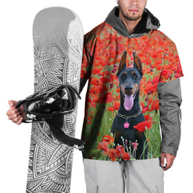 Накидка на куртку 3D с принтом Собака в поле маков в Тюмени, 100% полиэстер |  | Тематика изображения на принте: 