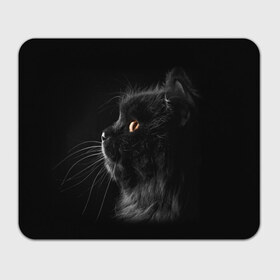 Коврик прямоугольный с принтом Милая кошечка в Тюмени, натуральный каучук | размер 230 х 185 мм; запечатка лицевой стороны | osfenemy | животное | животные | киса | кошечка | кошка | милая | мур | мяу | фото | черный