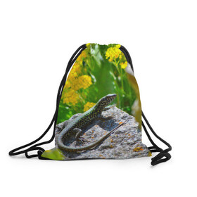 Рюкзак-мешок 3D с принтом Ящерица в Тюмени, 100% полиэстер | плотность ткани — 200 г/м2, размер — 35 х 45 см; лямки — толстые шнурки, застежка на шнуровке, без карманов и подкладки | зеленая | поле | природа | ящерица